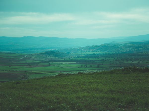 landscape, valley Wallpaper 800x600