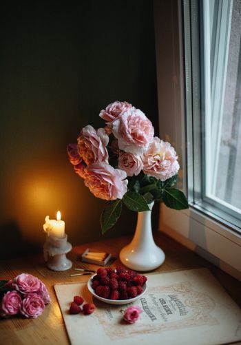 aesthetics, pink roses, bouquet Wallpaper 1668x2388