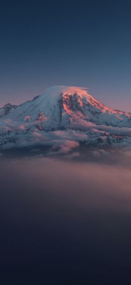 mountain, landscape, purple Wallpaper 828x1792