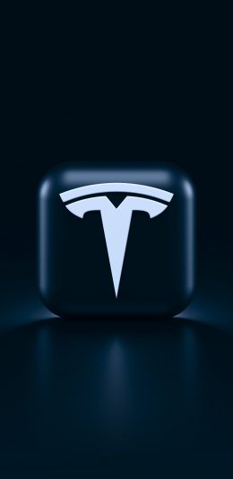 Обои 1080x2220 Tesla, логотип, черный