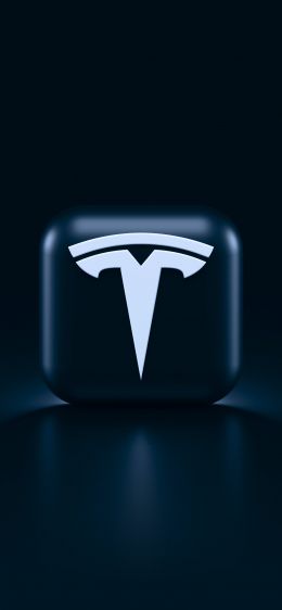 Tesla, logo, black Wallpaper 828x1792