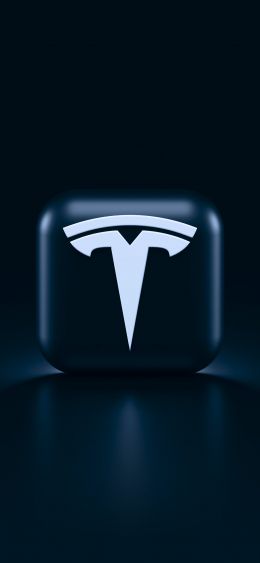 Tesla, logo, black Wallpaper 1080x2340