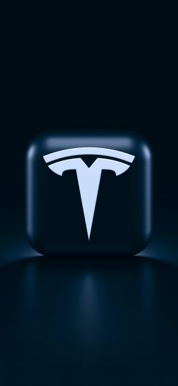 Обои 1080x2340 Tesla, логотип, черный