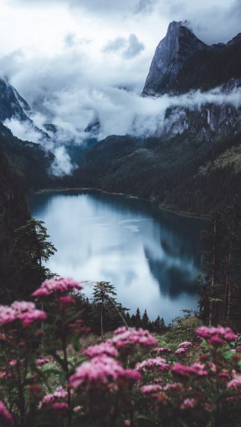 Обои 640x1136 озеро, пейзаж, Австрия