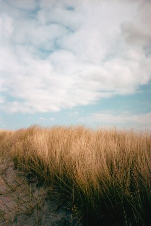 sky, cumulus Wallpaper 640x960