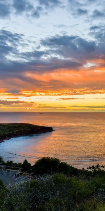 Hanauma Bay, bay, sunset Wallpaper 720x1440