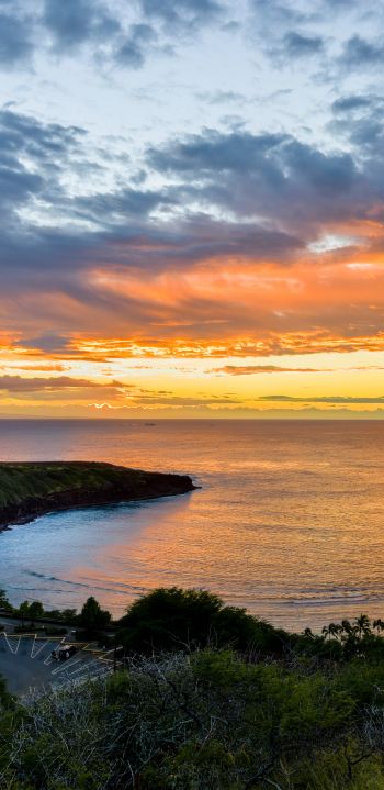 Hanauma Bay, bay, sunset Wallpaper 1080x2220