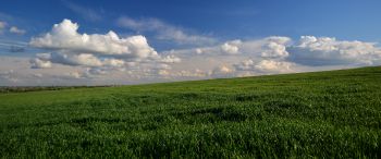 landscape, field, sky Wallpaper 3440x1440