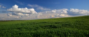 landscape, field, sky Wallpaper 2560x1080