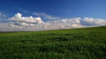 landscape, field, sky Wallpaper 3840x2160