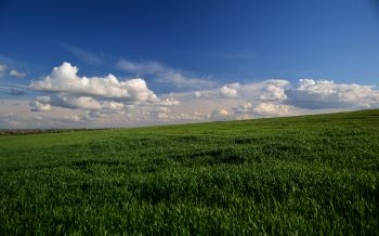 landscape, field, sky Wallpaper 2560x1600