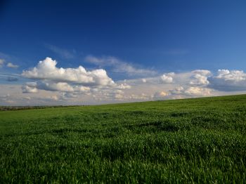 landscape, field, sky Wallpaper 800x600