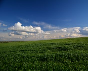 landscape, field, sky Wallpaper 1280x1024