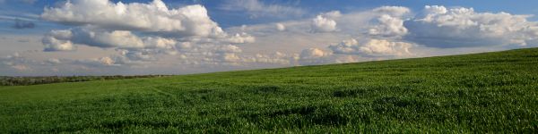 landscape, field, sky Wallpaper 1590x400