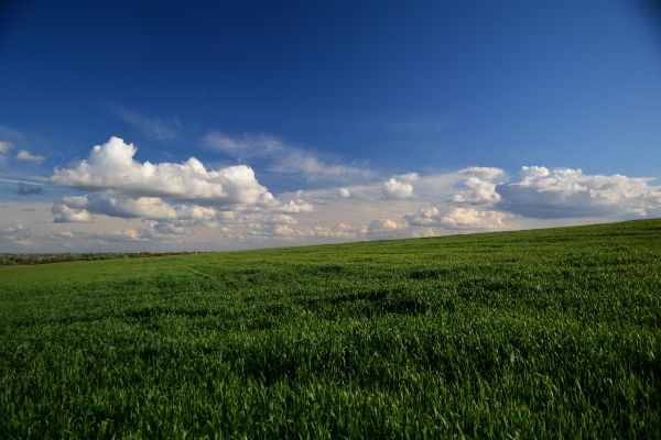 landscape, field, sky Wallpaper 6000x4000