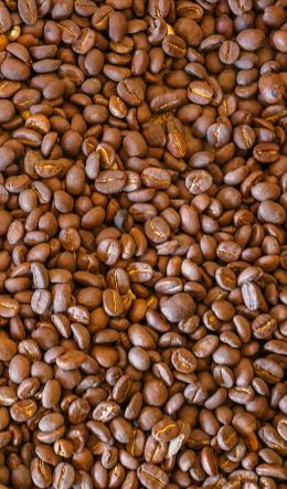 coffee beans, brown Wallpaper 600x1024