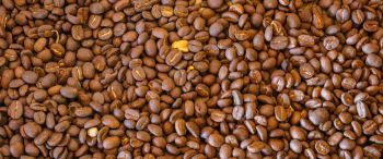 coffee beans, brown Wallpaper 3440x1440