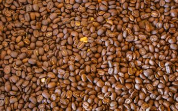 coffee beans, brown Wallpaper 1920x1200