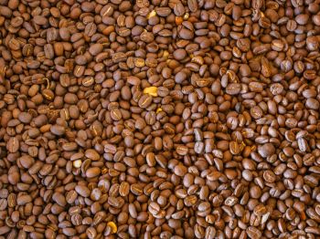 coffee beans, brown Wallpaper 800x600