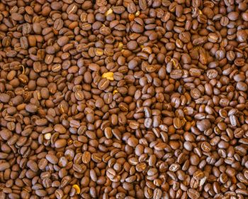 coffee beans, brown Wallpaper 1280x1024