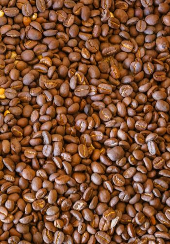 coffee beans, brown Wallpaper 1668x2388