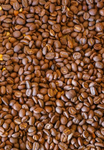 coffee beans, brown Wallpaper 1640x2360