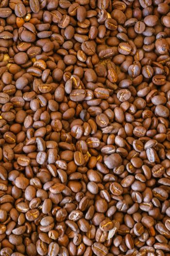 coffee beans, brown Wallpaper 640x960
