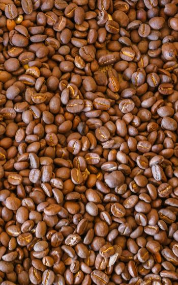 coffee beans, brown Wallpaper 1752x2800