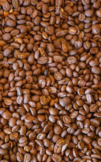 coffee beans, brown Wallpaper 800x1280