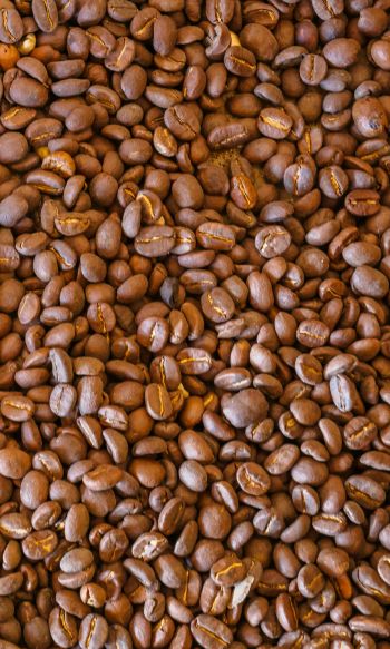 coffee beans, brown Wallpaper 1200x2000
