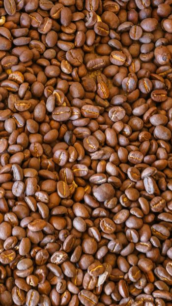coffee beans, brown Wallpaper 640x1136