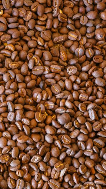 coffee beans, brown Wallpaper 750x1334