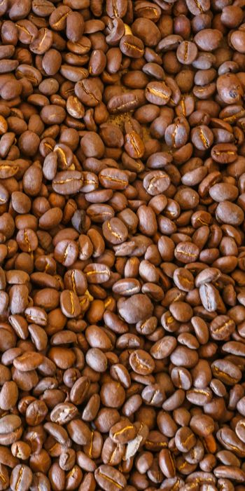 coffee beans, brown Wallpaper 720x1440