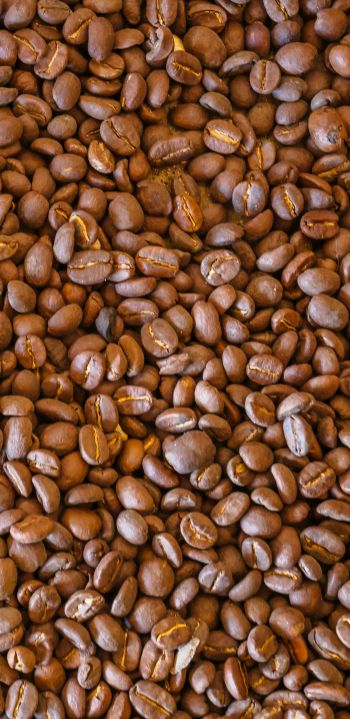 coffee beans, brown Wallpaper 1080x2220