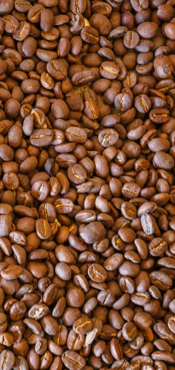 coffee beans, brown Wallpaper 1440x3040