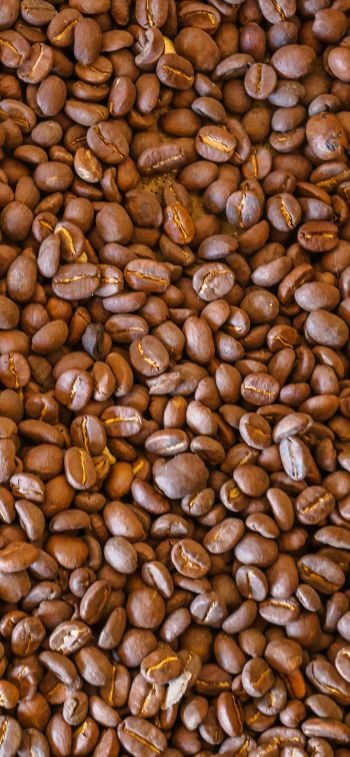 coffee beans, brown Wallpaper 1170x2532