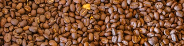 coffee beans, brown Wallpaper 1590x400