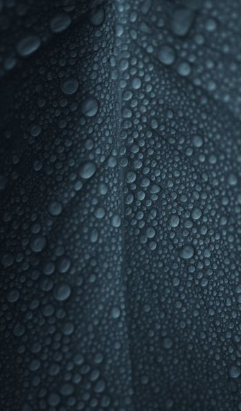 dew, raindrops, sheet Wallpaper 600x1024