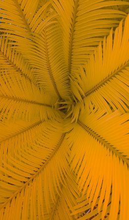 fern, yellow Wallpaper 600x1024