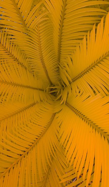 fern, yellow Wallpaper 600x1024