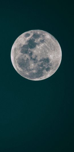 Обои 1080x2220 полнолуние, луна, ночное небо