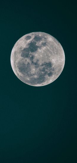 Обои 720x1520 полнолуние, луна, ночное небо