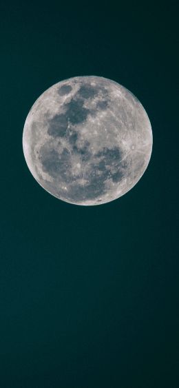full moon, moon, night sky Wallpaper 1080x2340