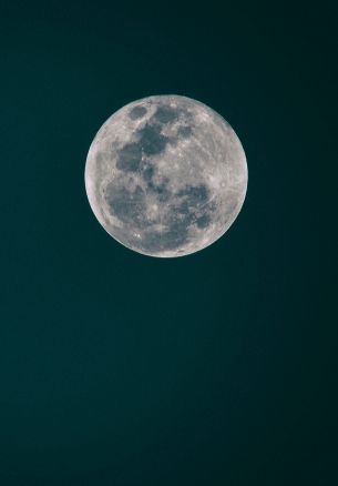 full moon, moon, night sky Wallpaper 1640x2360