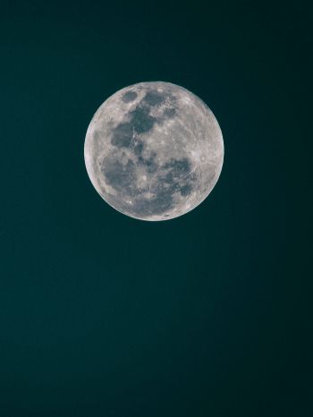 full moon, moon, night sky Wallpaper 1668x2224