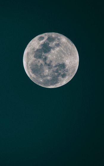 full moon, moon, night sky Wallpaper 1200x1920