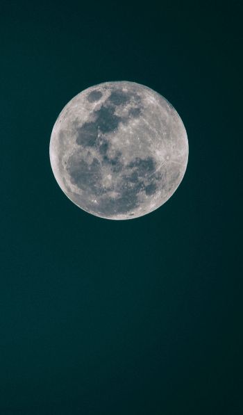 Обои 600x1024 полнолуние, луна, ночное небо