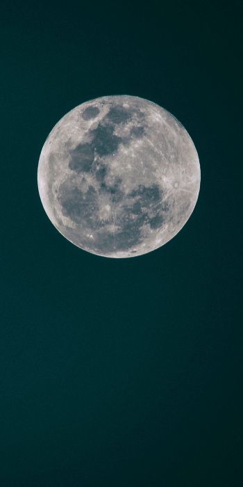 Обои 720x1440 полнолуние, луна, ночное небо