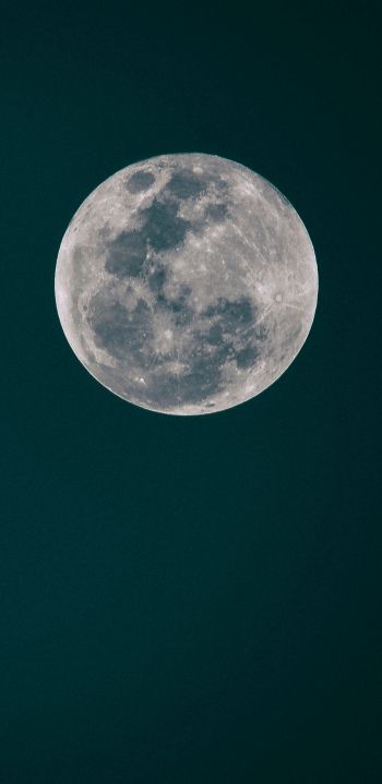 full moon, moon, night sky Wallpaper 1080x2220