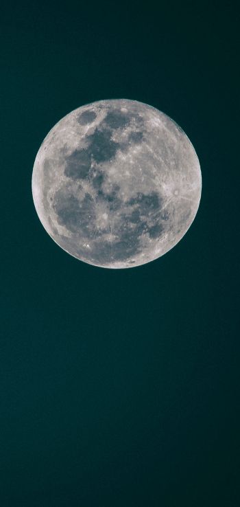 Обои 1080x2280 полнолуние, луна, ночное небо